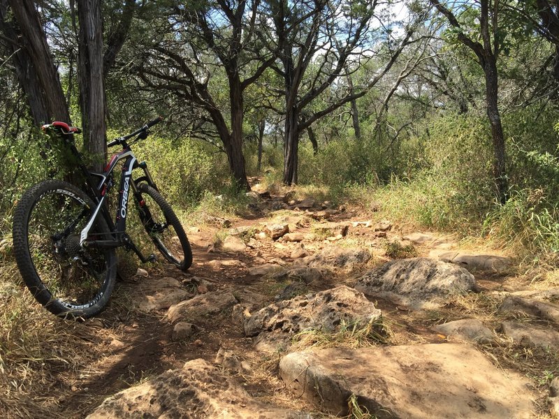 Some of the terrain you can expect on this trail.