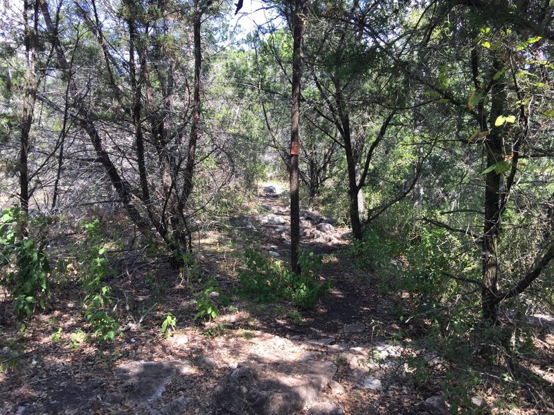 One of the rocky climbs on the trail.