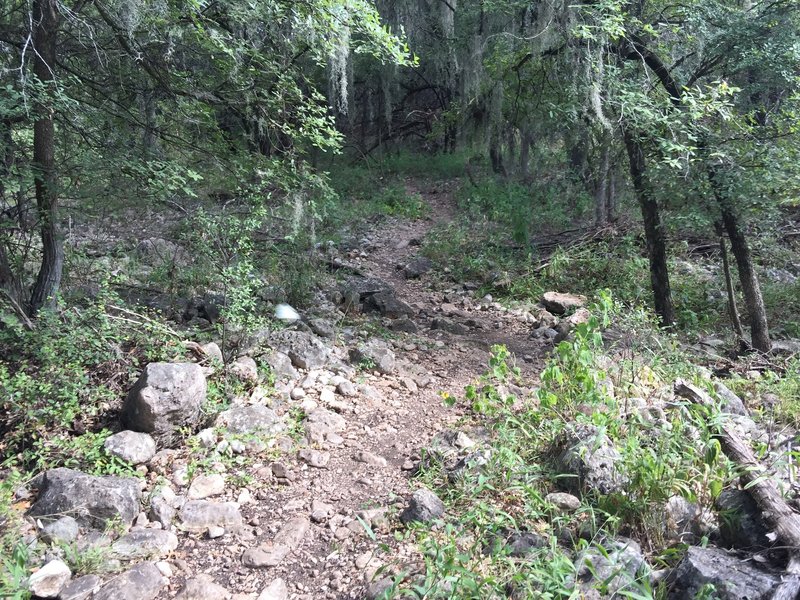 Part of Dante's Trail thats a bit rocky.