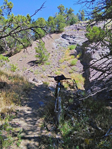 South end of the Horse Gulch Trail