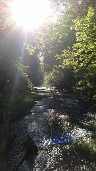 From bridge at the start of Seneca Ridge Trail