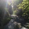 From bridge at the start of Seneca Ridge Trail