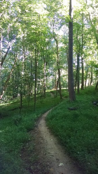 The Seneca Ridge Trail is more open here