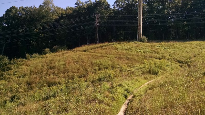 Seneca Ridge Trail powerline cut