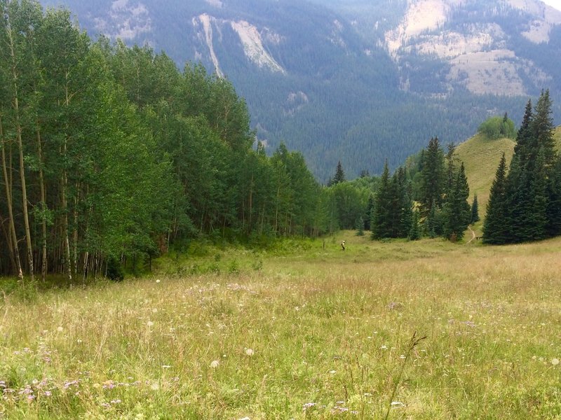 Great meadows and flowers down to Camp Hale