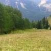 Great meadows and flowers down to Camp Hale