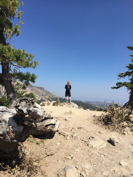 Admiring the vista point. Fabulous views.