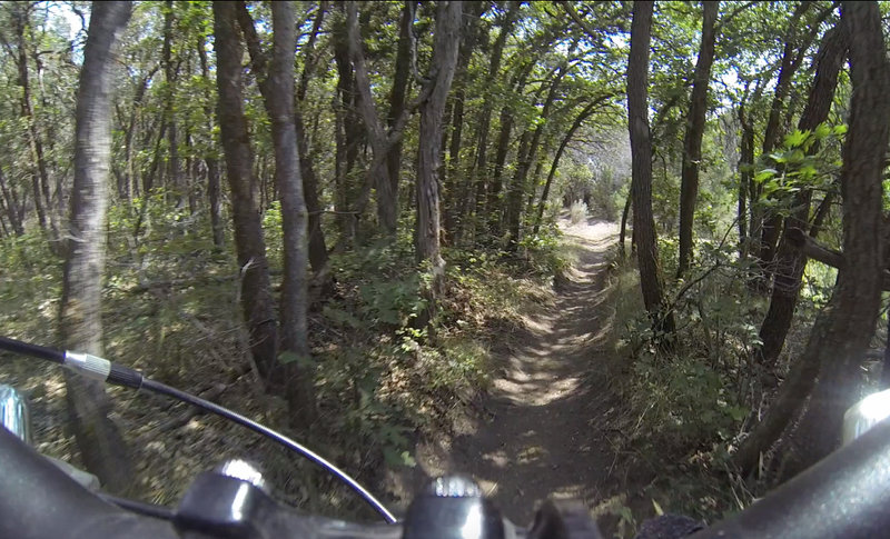 Singletrack area before picnic area