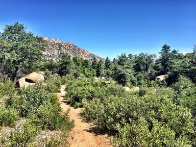 Things open up along Trail #350