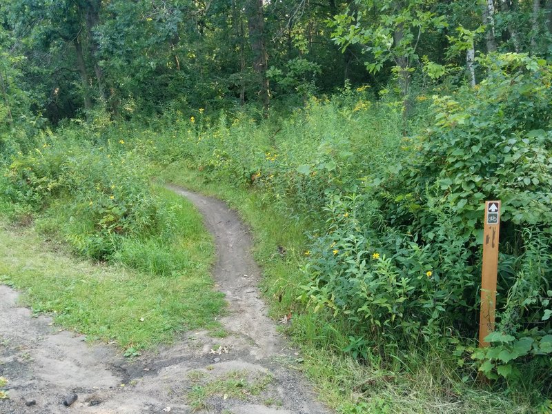 Connector Trail from Battle Creek Rd