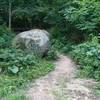 Bottom of Luge Trail