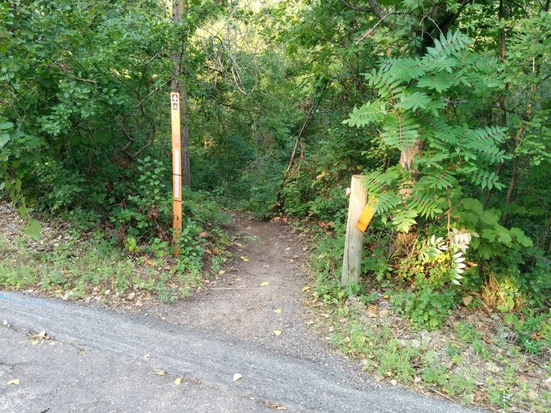 The Bowl Loop from Battle Creek Rd