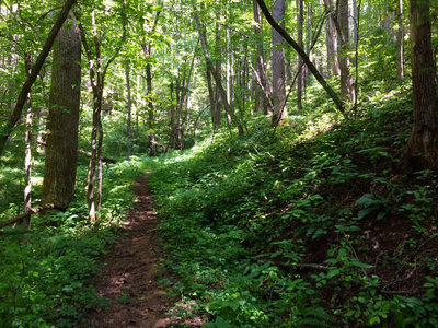 The Cat's Pajamas Entrance