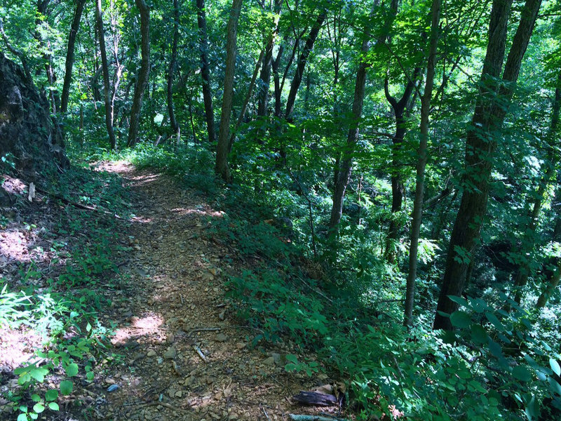 Cresting on the River Trail