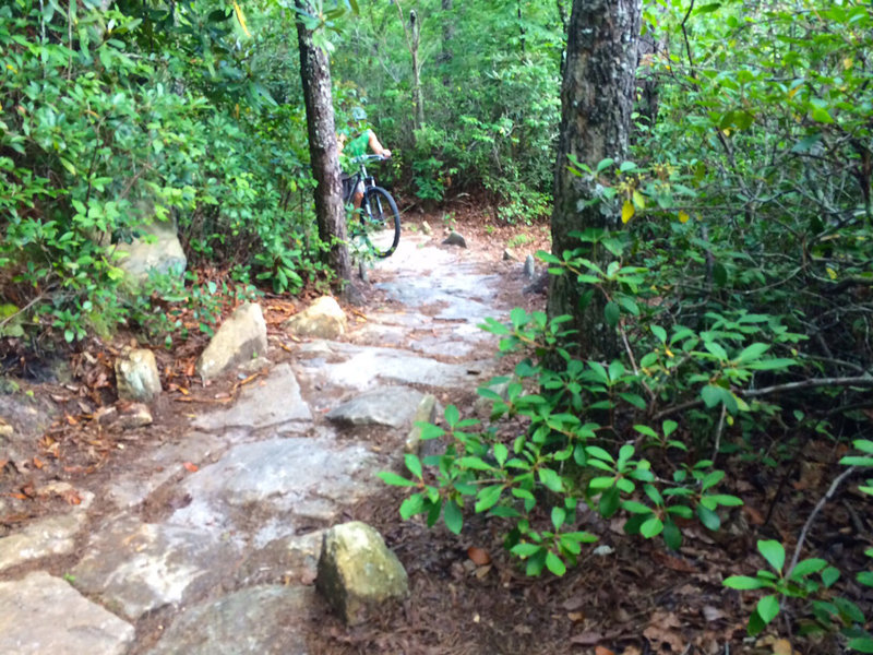 A rocky ascent