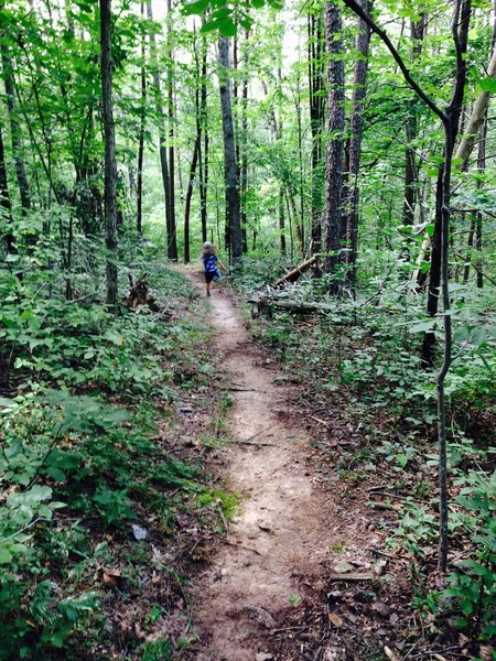 Trails in great shape 8/25/15