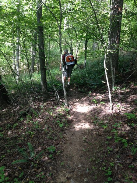 Volunteers use jetpack to clear trails