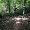 Volunteers use jetpack to clear trails