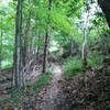 Delaney Trail at Bridgeport Park