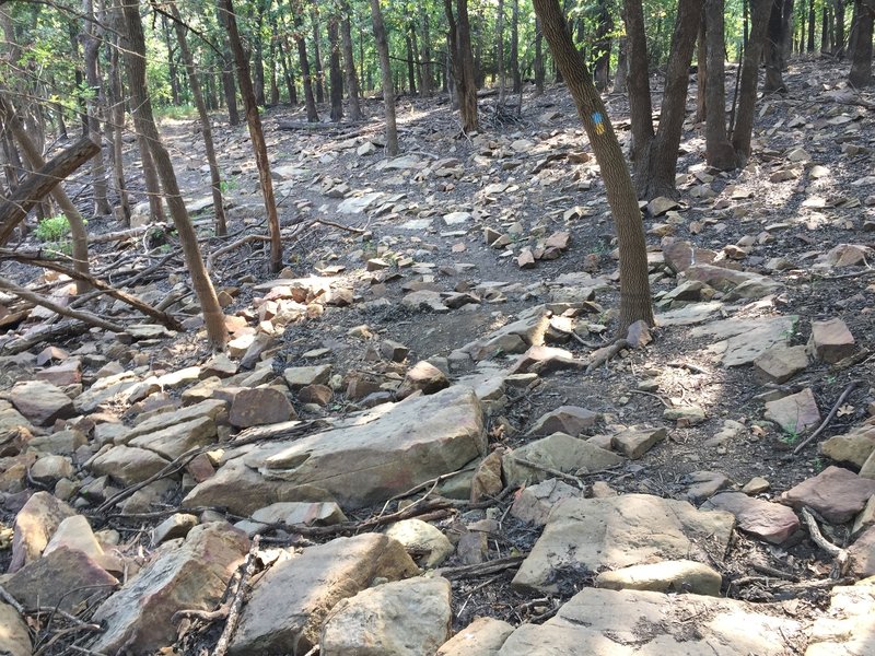 An almost never-ending rock garden in places