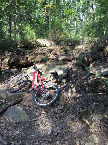 A natural staircase that needs a route around so you can go up it.  These trails were originally designed for hiking.