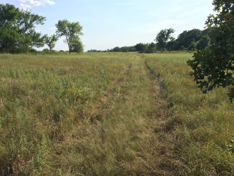 Prairie trail