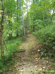 Delaney Trail at Bridgeport Park