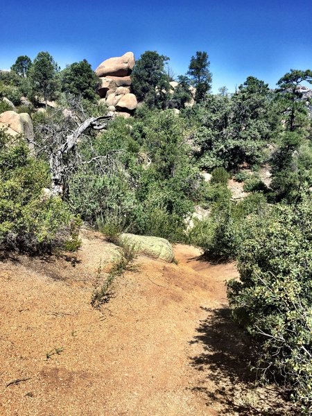 Big rick piles along Trail #349