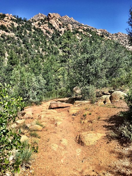 Rocky ridge above Trail #345