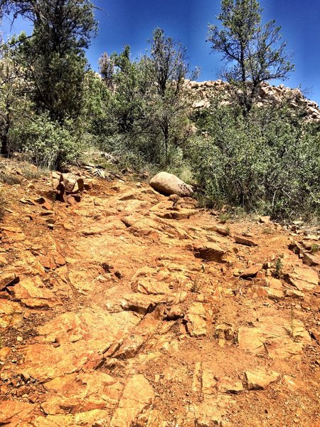 Embedded slab along Trail #345