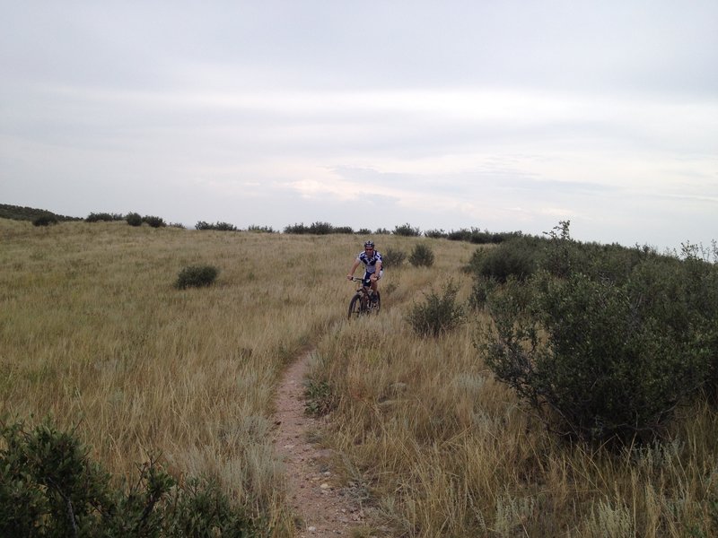 The trails are a bit gravelly, but it's still pretty good riding.