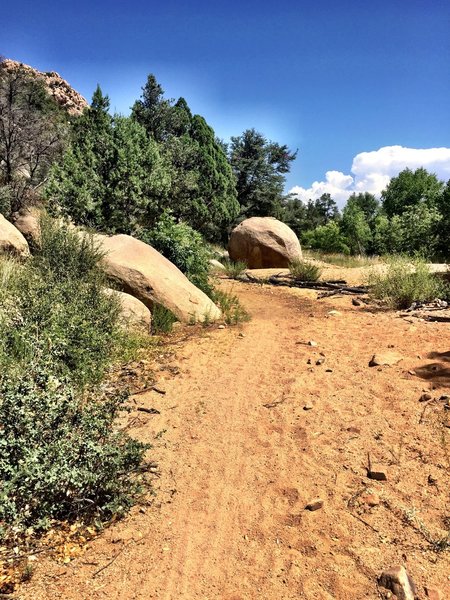 A bit of sand on Trail #345