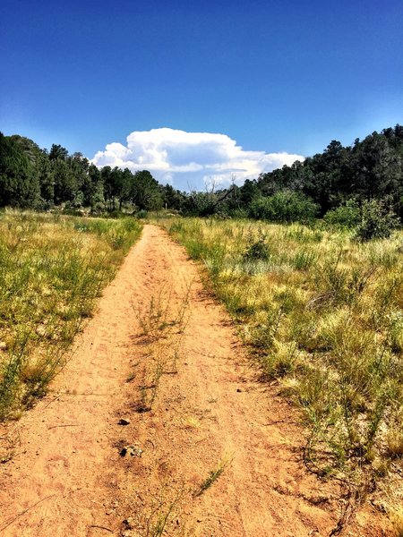 Doubletrack portion of Trail #345