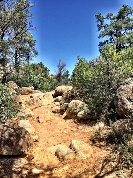 Obstacles along the way on Trail #345