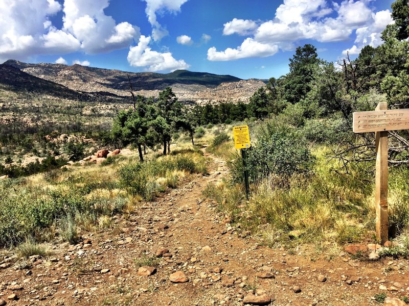 Trail #345 and Trail #308 intersection.  Trail only goes about a 1/2 mile and then it is off limits for bikes