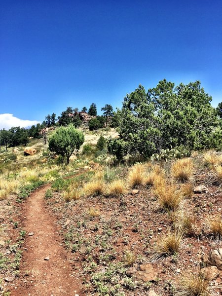 Rocky bluff ahead on Trail #345