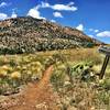 Trail #345 and #347 with Granite Mtn in the background