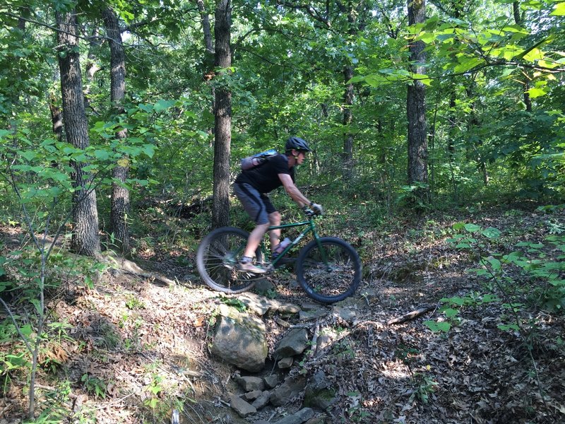 This crossing is a little rough, be sure to keep your weight back and un-weight the handlebars.