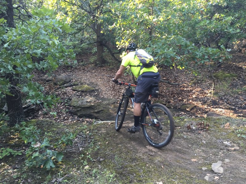 The creek crossing was thankfully dry.  There are several creek crossings on this trail.