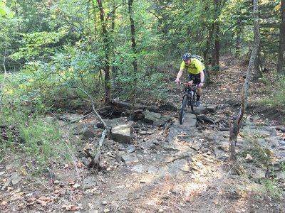 One of the main creek crossings.  Watch for these rocks to be slick when the water is flowing!
