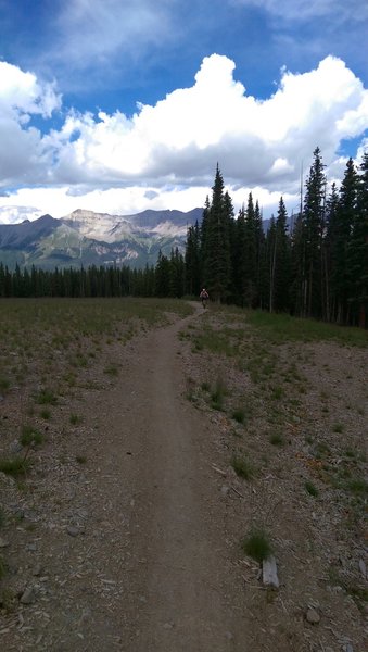 Looking down the mountain. You pop out of the trees into this open area before climbing up into the trees again. At 10,000 feet this gradual uphill wears you out but the sweet singletrack is shortly after this.