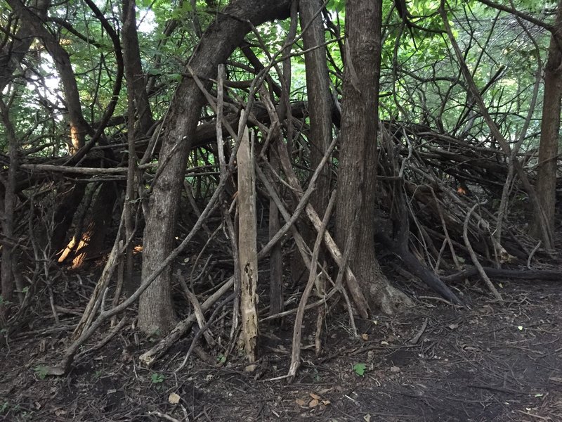 Looks like kids have built a fort along the trail