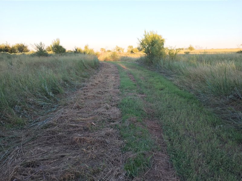 This is probably where I picked up a locust tree thorn that cut my ride short.  Be sure to use tire sealant if you're riding the Cheney Lake Prairie Trail.