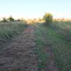 This is probably where I picked up a locust tree thorn that cut my ride short.  Be sure to use tire sealant if you're riding the Cheney Lake Prairie Trail.