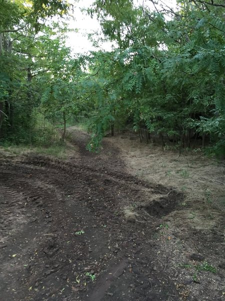 There are rogue trails all over here from people's houses to the lake shore.  I didn't explore them, but feel free to head to the shoreline!