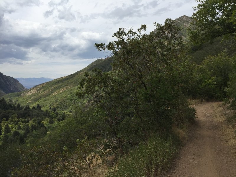 Pipe Line Trail in Millcreek Canyon looking down towards Salt Lake City