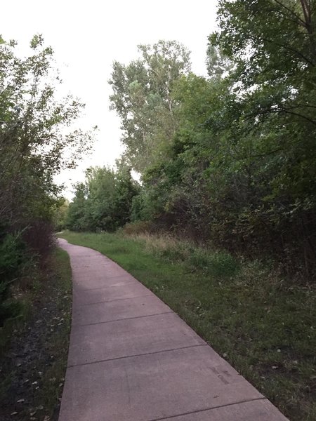 The woods you're riding around needs a singletrack in the middle of it.