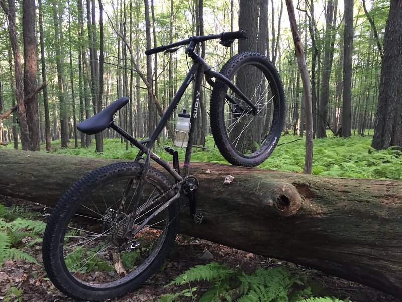 Great trail, needs to be ridden.  The up-hill along the stream has potential for being a really great trail just needs some TLC.