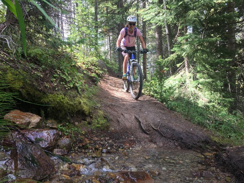 Creek crossing on Cross Mountain.