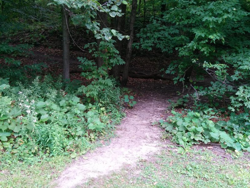 Bottom of Wall of Death, from the paved path